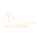 logo img